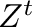 $\m{Z}^{t}$