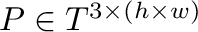 $\m{P} \in T^{3 \times (h \times
        w)}$
